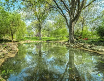 pexels-pixabay-261088