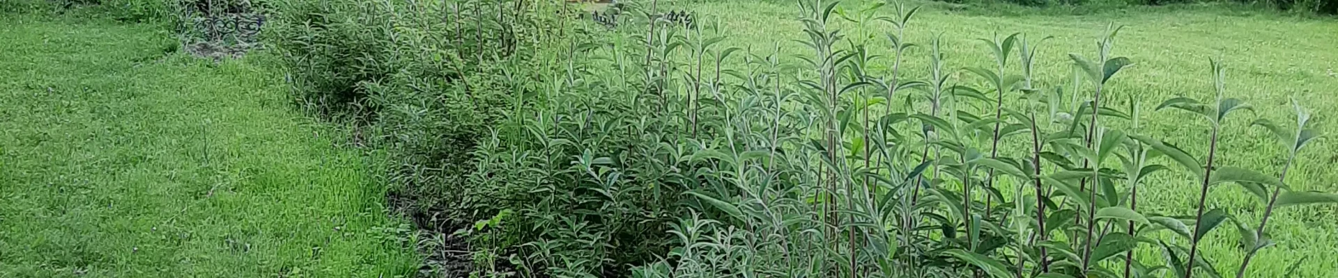 Galeria testowa Maciek